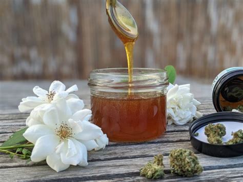 Cannabis Infused Honey Recipe Delicious Easy Flavor Fix