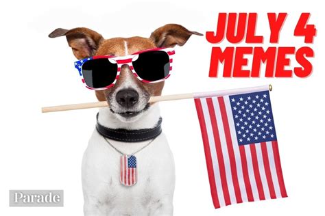 50 Funny 4th Of July Memes 2024 Parade