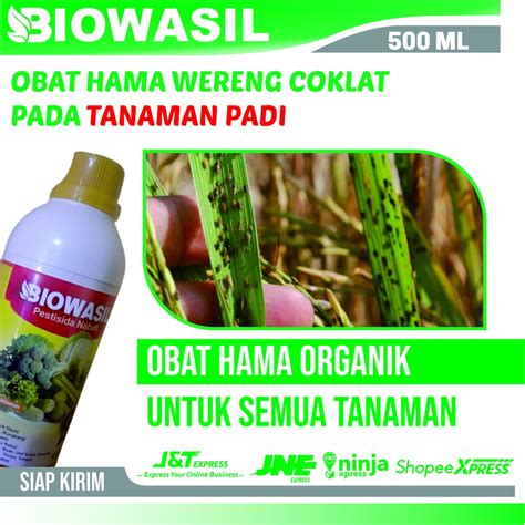 Jual 500 ML BIOWASIL Pestisida Semprot Basmi Hama Wereng Coklat Pada