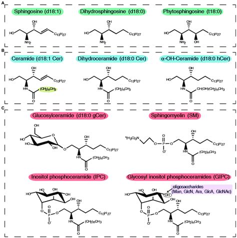 General Structures Nomenclature And Abbreviated Names Of Download Scientific Diagram