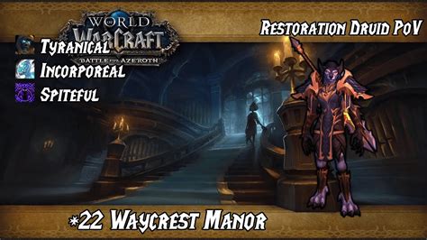 22 Waycrest Manor DF Season 3 Restoration Druid PoV Tyranical