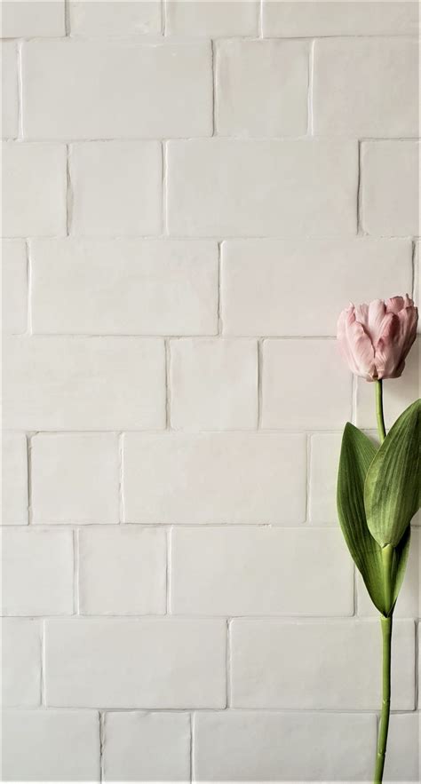 A Single Pink Flower Sitting In Front Of A White Brick Wall