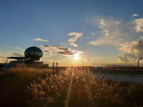 La Pista 500 Al Lingotto Il Giardino D Arte Sul Tetto Della Ex