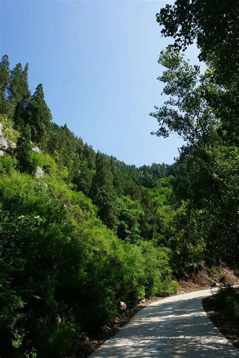 淄川區西河鎮大峪村通往羅圈峪村的道路開通了！ 每日頭條