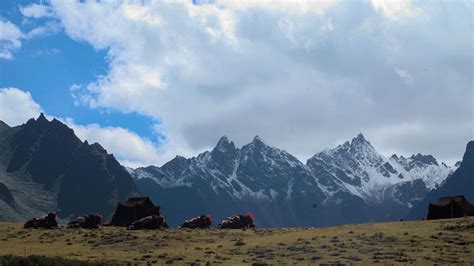 Laya Gasa Trek Experience The Ultimate High Altitude Adventure In Bhutan