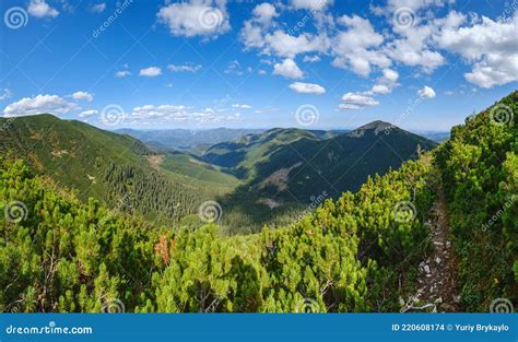 Verano Monta As De Los C Rpatos Vista Ucrania Macizo Gorgany Pedregoso