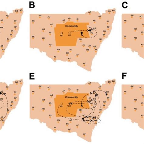 Reconstruction Of The Likely Hepatitis C Virus Transmission Dynamics