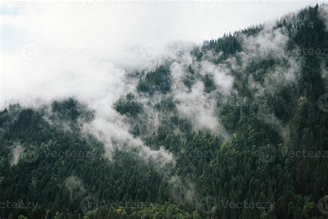 Majestic mountains in the Alps covered with trees and clouds 20468111 ...