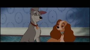 Tramp N Lady Disney S Lady And The Tramp Photo Fanpop