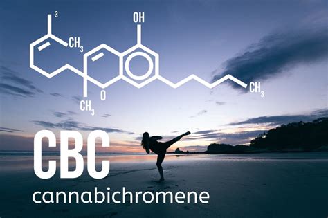 What Is Cannabichromene Side Effects Benefits Of CBC Buy Mellow Canada