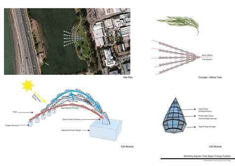 Biomimicry Architecture Examples - The Architect