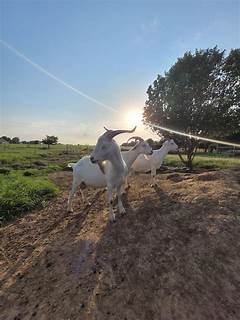 Shoshanna Lonsteins Daughter All Grown Up See Her Stunning Photos