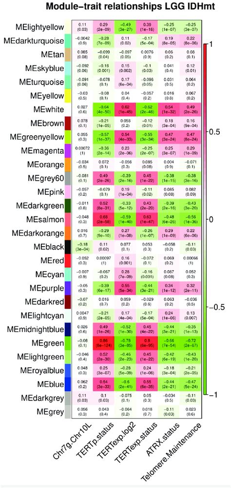 A Module Trait Relationships Plot For LGG IDHmt Samples LGG