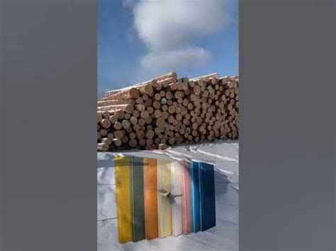 Приехали на производство в Иркутск #вагонка #пиломатериалы - YouTube