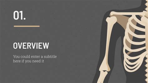 Anatomy Lesson Google Slides theme and PowerPoint template