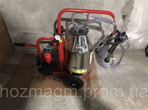 Купить Доильный аппарат для доения двух коров. Ведро 40 л нержавейка. 2 ...