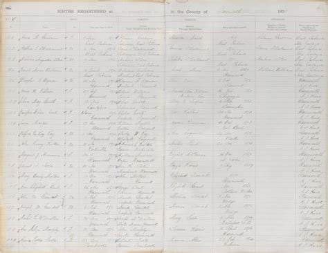 New York Office of Vital Statistics: Birth and Death Records Guide 27