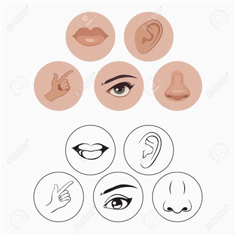 eyes nose  mouth clipart  images  clkercom vector clip