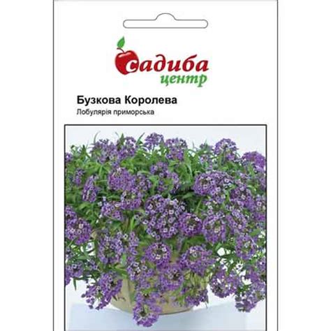 Лобулярия Сиреневая Королева Садыба центр (72764): купить семена почтой ...