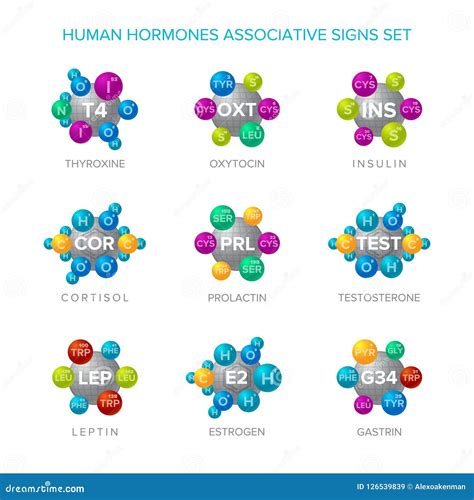 Human Hormones Vector Signs With Associative Molecular Structures Set