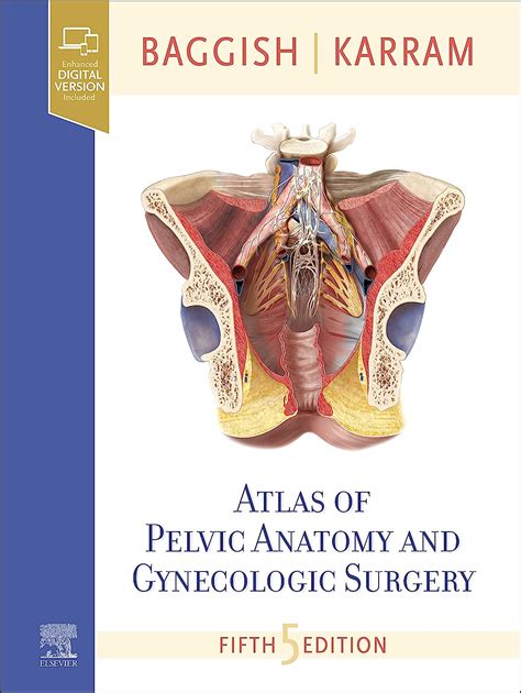 Amazon Atlas Of Pelvic Anatomy And Gynecologic Surgery Baggish Md