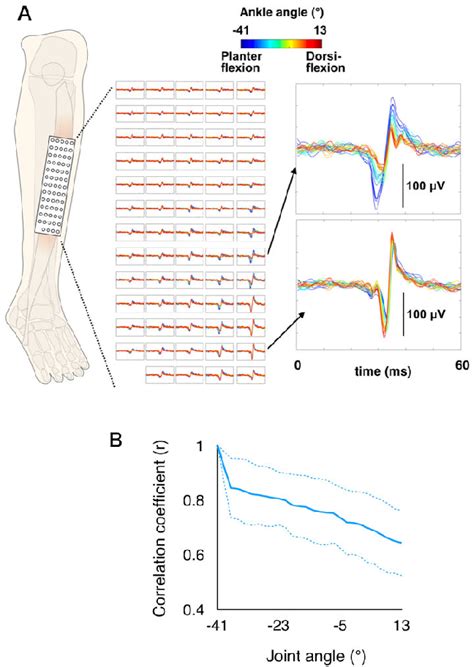 Figure 3 From Robust Identification Of Motor Unit Discharges From High