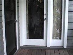 Xvideos Zoe Celebrity Zoe Zane Sex Dance Porn Movies Zoe Xxx Mobile Porno Videos Movies