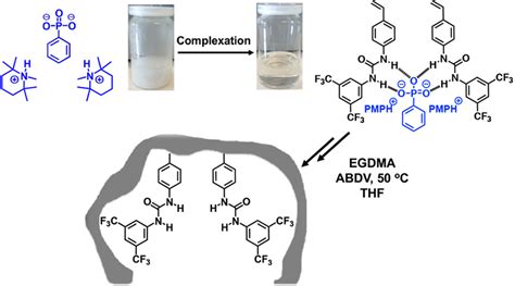 Urea Based Imprinted Polymer Hosts With Switchable Anion Preference