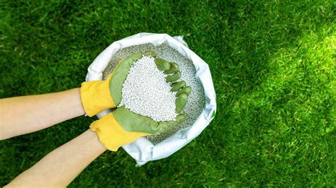 Lawn Maintenance Fertilizer: The Ultimate Guide to a Greener Lawn — Terra Lawn Care Specialists