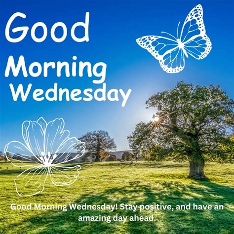Good Morning Wednesday Status, Wishes and Image - WishByGift