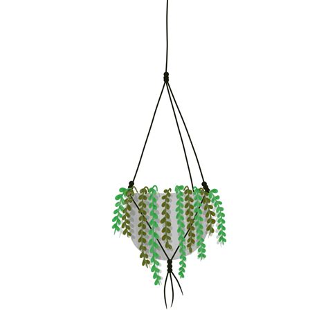 Hanging Plant Plant Hanging Plant Clipart Png Transparent Clipart