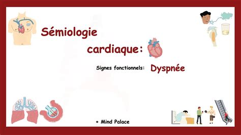 Signes Fonctionnels Cardiaques La Dyspnée Mind Palace Pour