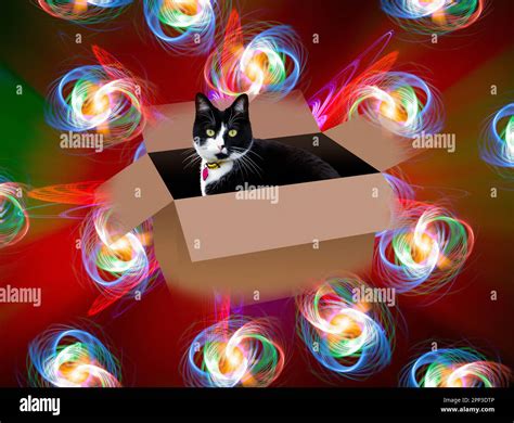 Schrodingers Cat Composite Illustration Showing A Cat Inside Of A Box