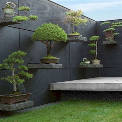 12 Incredible Bonsai Plant Ideas As Your Garden Home Inspiration