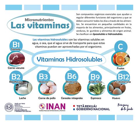 Introducir 61 Imagen Vitaminas Del Pollo Abzlocal Mx