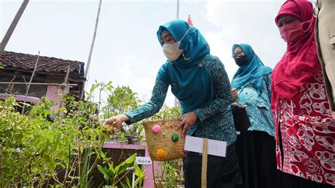 Hatinya PKK Manfaatkan Pekarangan Hingga Inovasi Masyarakat