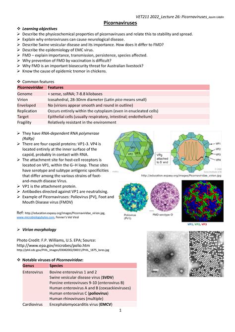 VET211 2022 Lecture 26 Picornaviruses Picornaviruses Learning