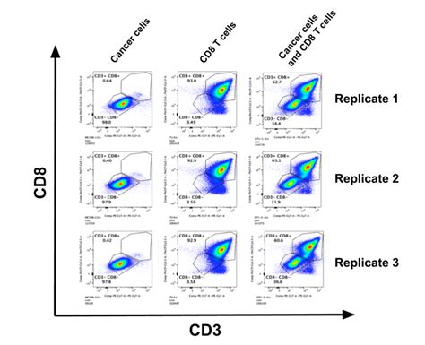 Flow Cytometry Based In Vitro Assay For Assessing T Cell Mediated