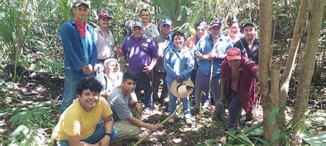 Prometedor Proyecto Promueven El Cultivo De La Vainilla En Un Ejido De