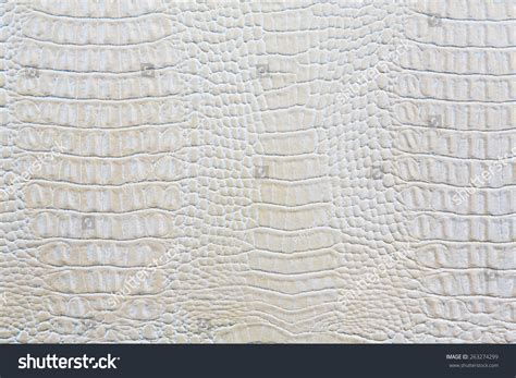 Crocodile Skin White Leather Texture Background Stock Photo 263274299 | Shutterstock