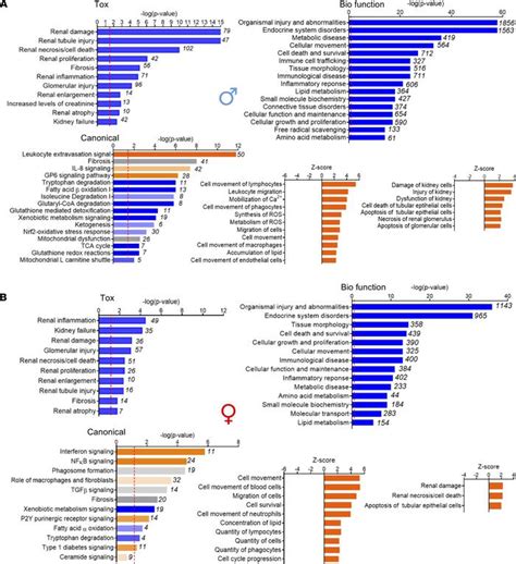 Jci Insight Intact Mitochondrial Substrate Efflux Is Essential For