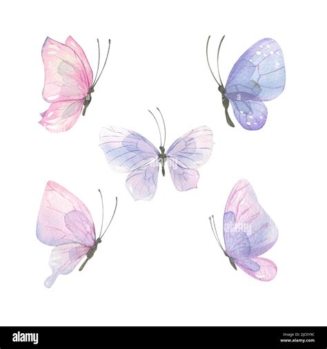 Ilustración acuarela de delicadas mariposas de color rosa lila Un