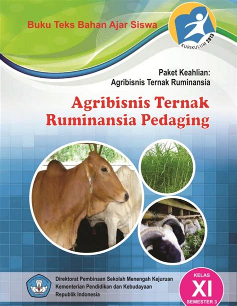 Buku Agribisnis Ternak Ruminasia Pedaging Kelas Smk Buku Sekolah