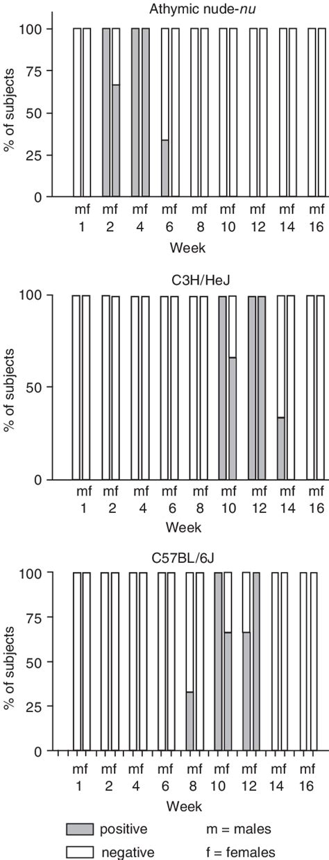 Helicobacter Typhlonius In Sex Organs Of Athymic Nude Nu Nu Nu