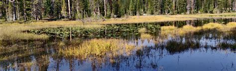 Wall Lake Trail Utah 443 Reviews Map Alltrails