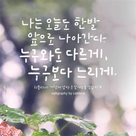 캘리애의 캘리그라피 on Instagram 누구와도 다르게 누구보다 느리게 비 내리던 날 보았던 달팽이