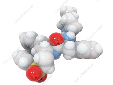 K777 Cysteine Protease Inhibitor Molecular Model Stock Image C051 7735 Science Photo Library