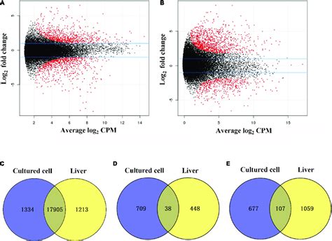 Differentially Expressed Genes DEGs Between Diploid And Tetraploid