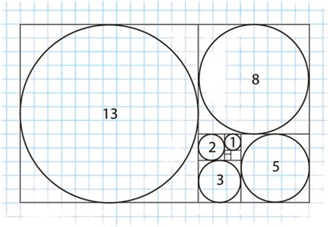 Vetor De Modelo De Propor O Urea Png Ret Ngulo Gr Fico Matriz