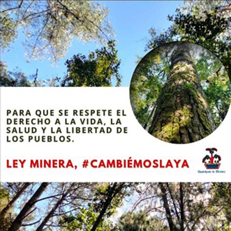 Los Saldos De A Os De La Ley Minera La Jornada Del Campo